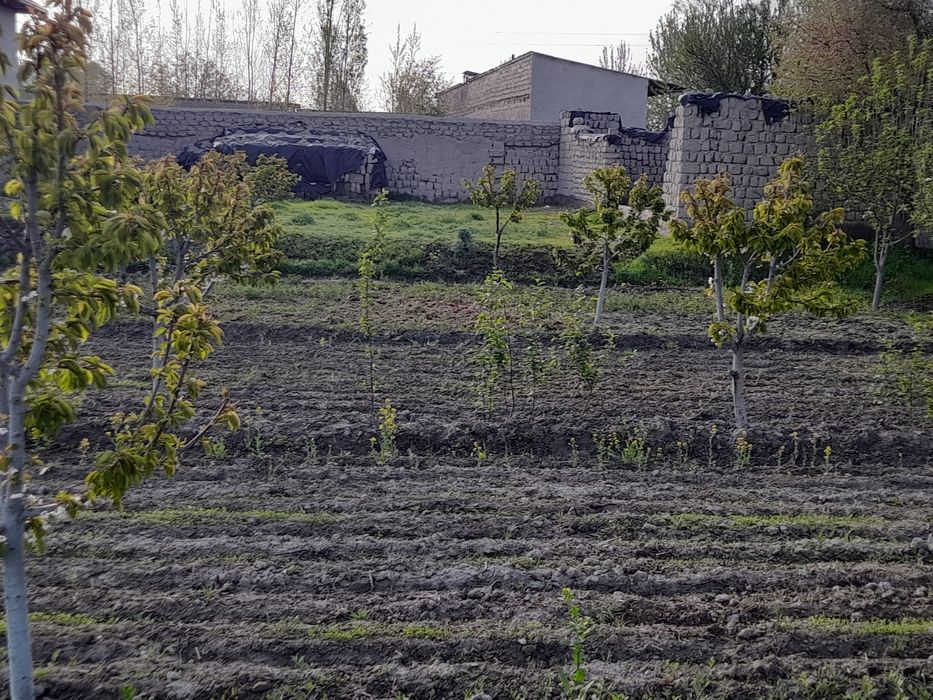 Yer sotiladi 8 sutix manzil Eski jomboy