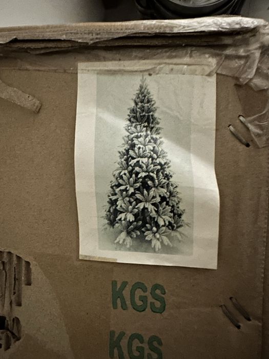 Заснеженная елка