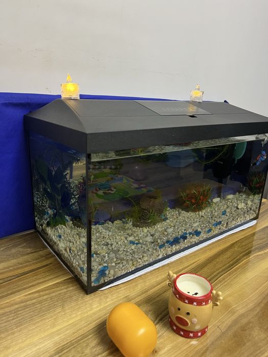 Acvariu 54 litri