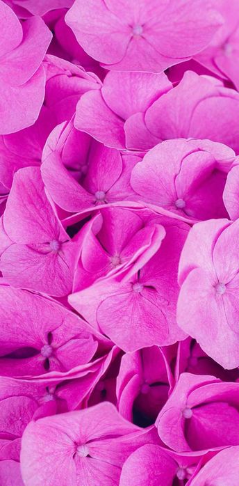 Uy tozalash xizmatlari