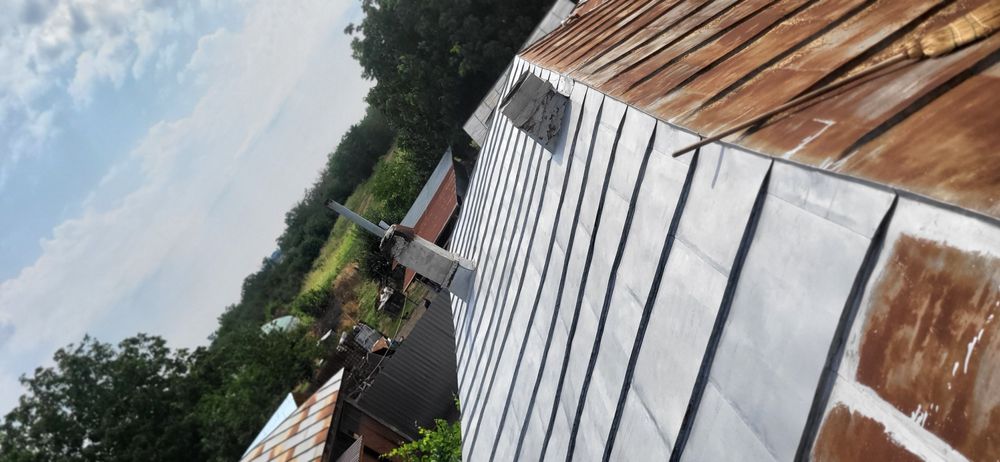 Vopsire tabla  acoperiș  la super  oferta