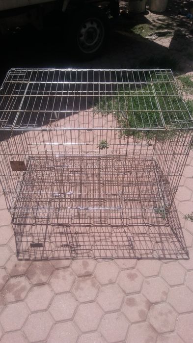 Клетка для чихуа хуа