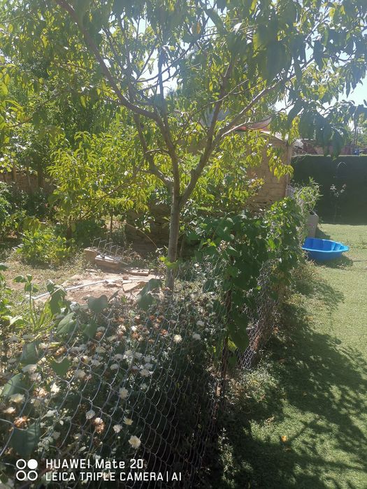 Продава се Къща в с. Ребърково, Област Враца - 79 кв.м за 956 €/кв.м - Снимка #4