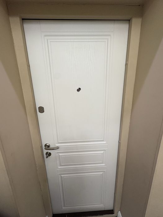 Обменяю дверь входную на услуги плотника