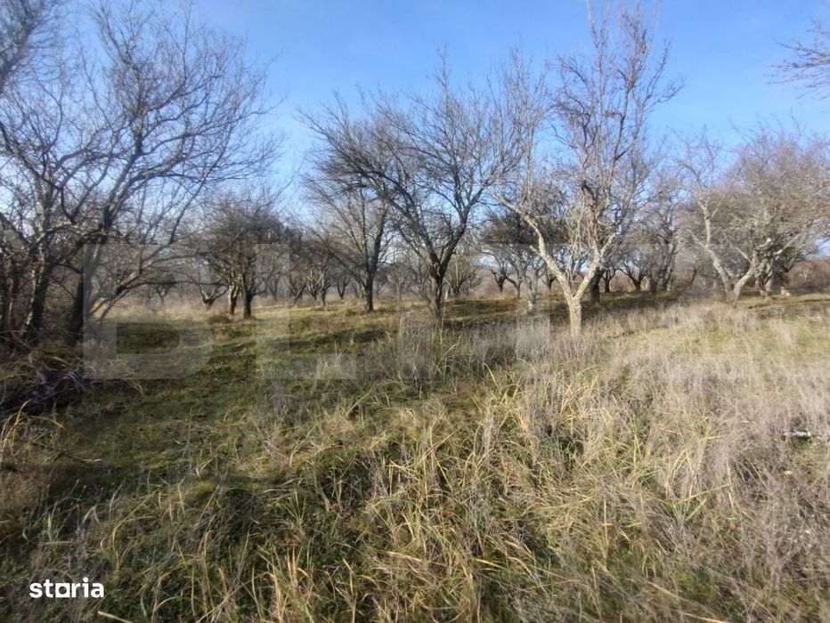 Teren extravilan, 20 ari, livada pomi fructiferi, zona Subcetate