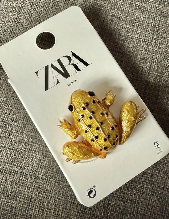 Brosa broscuta cu cristale Zara