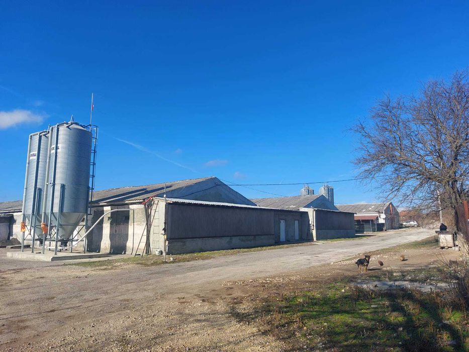 Собственик продава функционираща ферма за отглеждане на 40000 бройлери