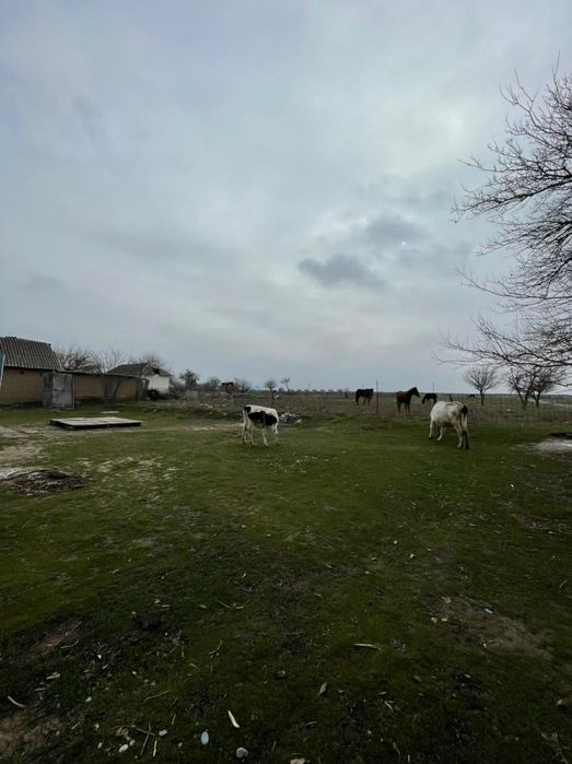 Дом 15,5 соток, делимый, пригород, цена 12 миллион