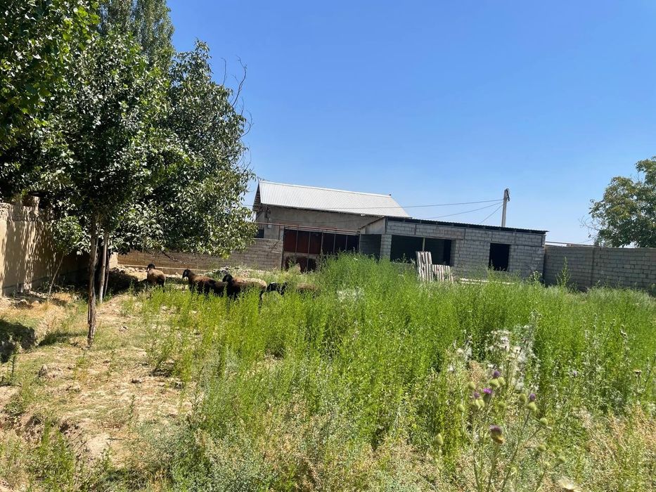 Nazarbek  Turkuston 6 sotix yer sotiladi