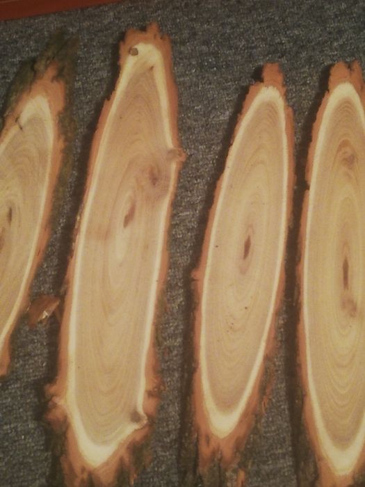 Елипсовидни шайби