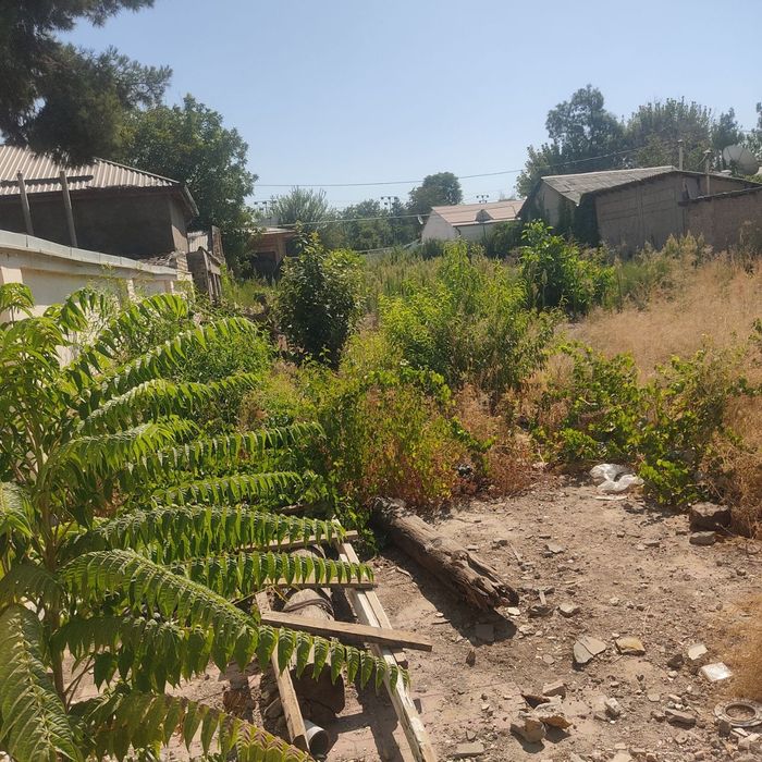 Ер сотилади дагестанский кучада