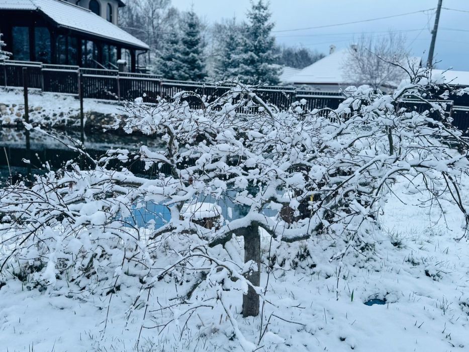 Vila/pensiune/casa Bran panoramica