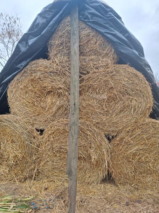 De vânzare baloți de paie