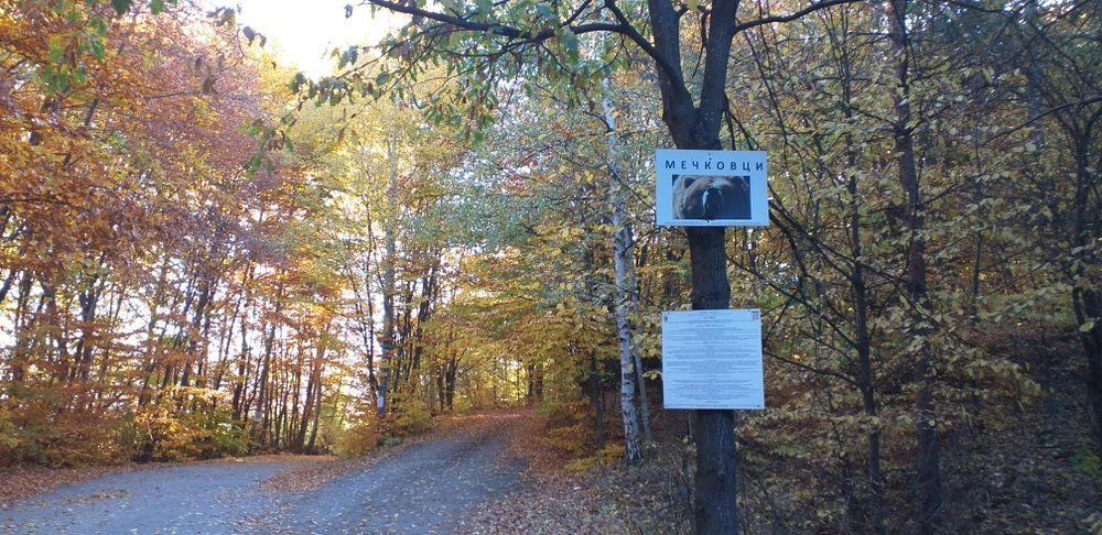 Продава се Парцел в с. Мечковци, Област София-област - 1248 кв.м за 6 €/кв.м - Снимка #1