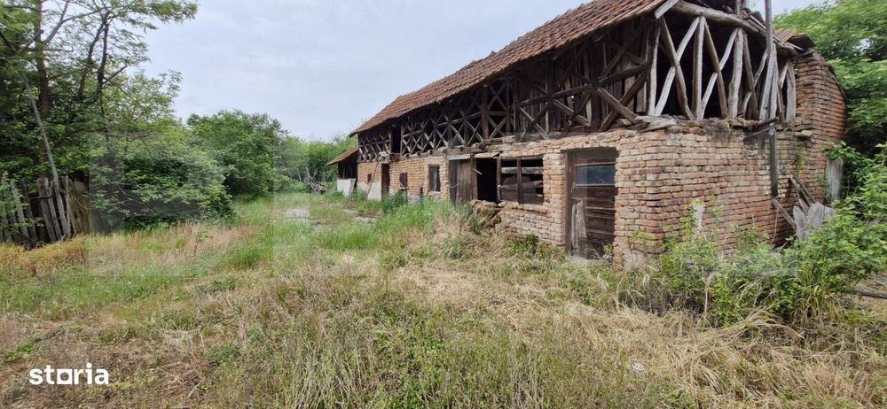 Domeniu polivalent, ideal pentru 2 familii / afacere, 300 mp, zona Sud