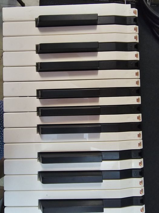 Service reparatii clape PA5x PA4x pA3x, pian electronic, acordeon fr8x