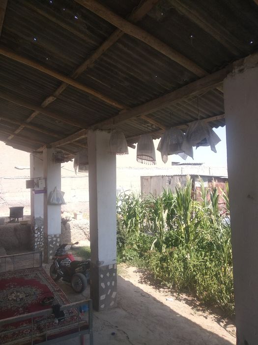 Sayrab turgan bedanalar