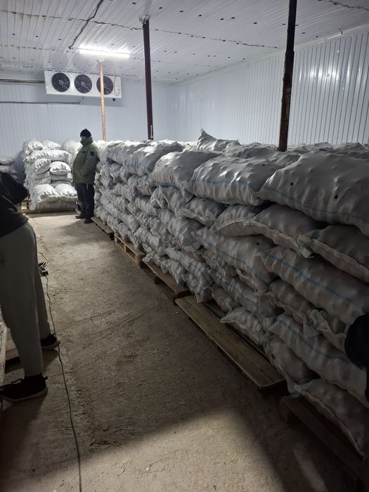 Картошка сатылады