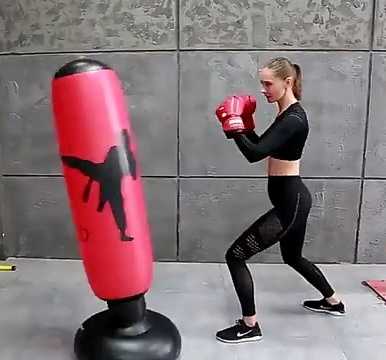 Боксерская груша Xiaomi Fed Vertical Martial Arts