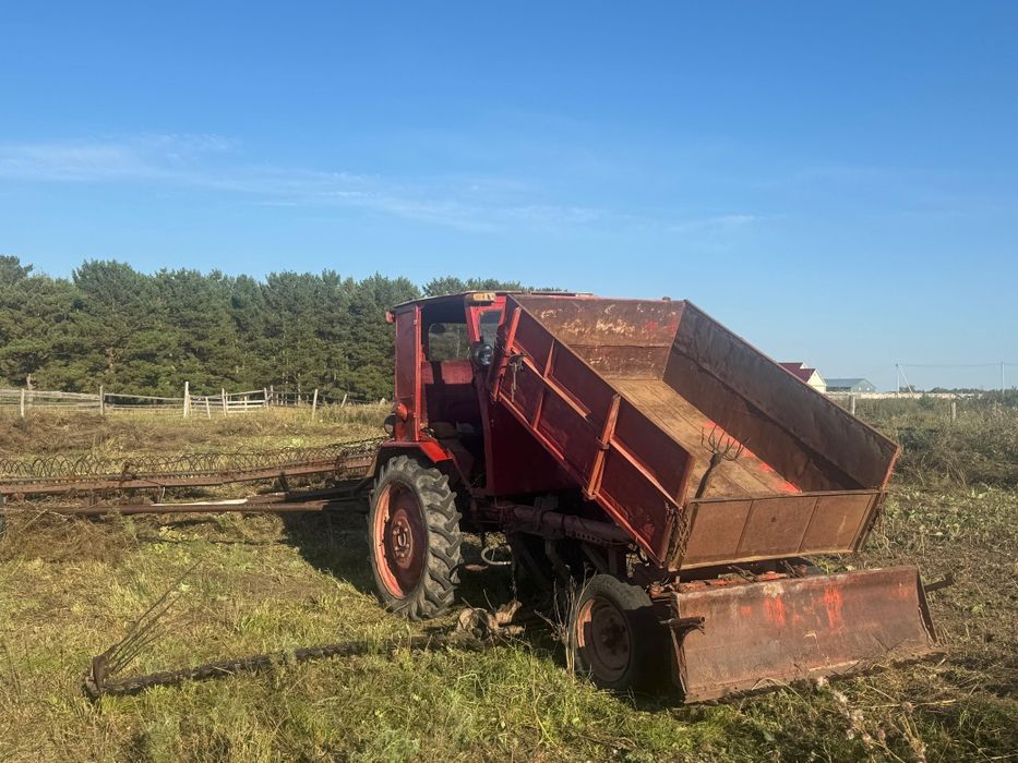 Продам трактор т16м
