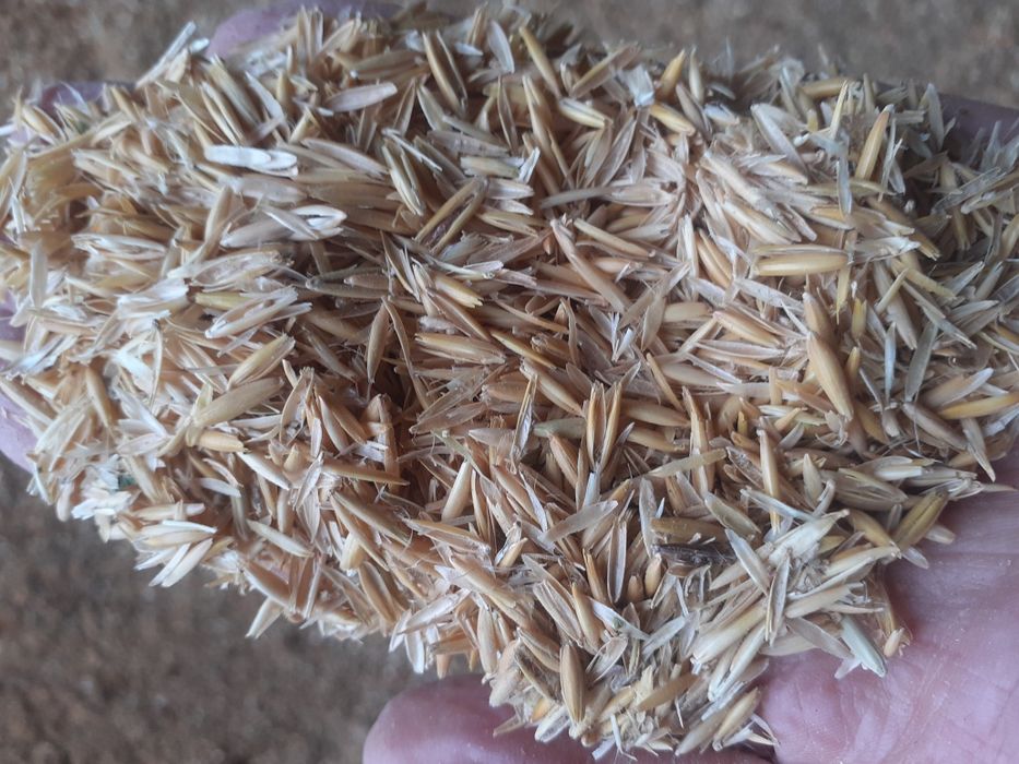 Отходы Отходы  в перемешку для крс мрс лошадей