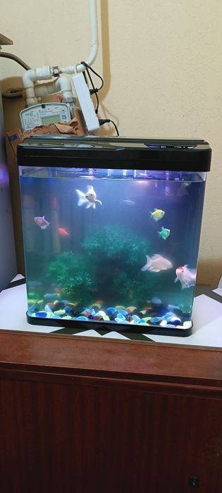 Срочно продам аквариум 40литр