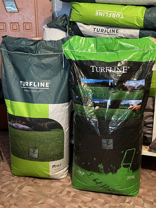 Газон спортный семена