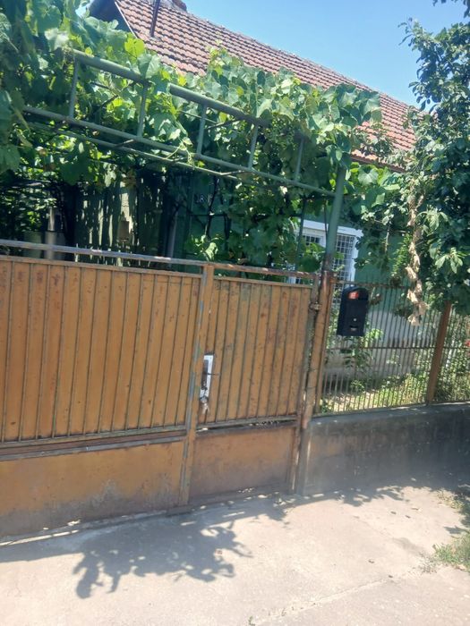 Casa chirie in timisoara