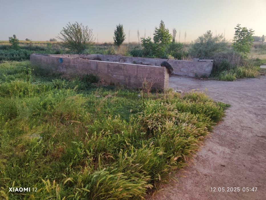 Молхона, чорвачилик учун жой. аренда ижара