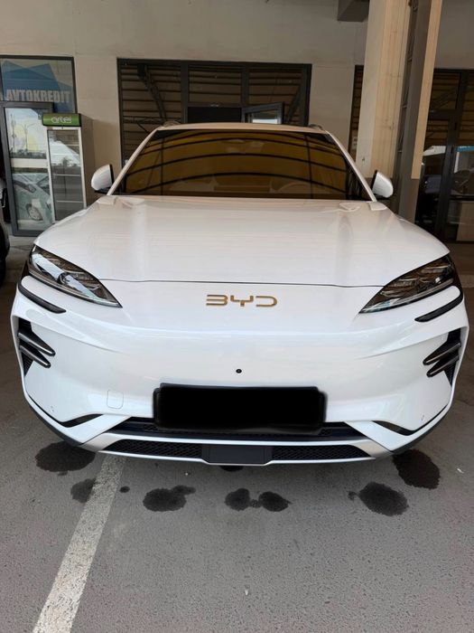 BYD Song Plus EV Champion 2024