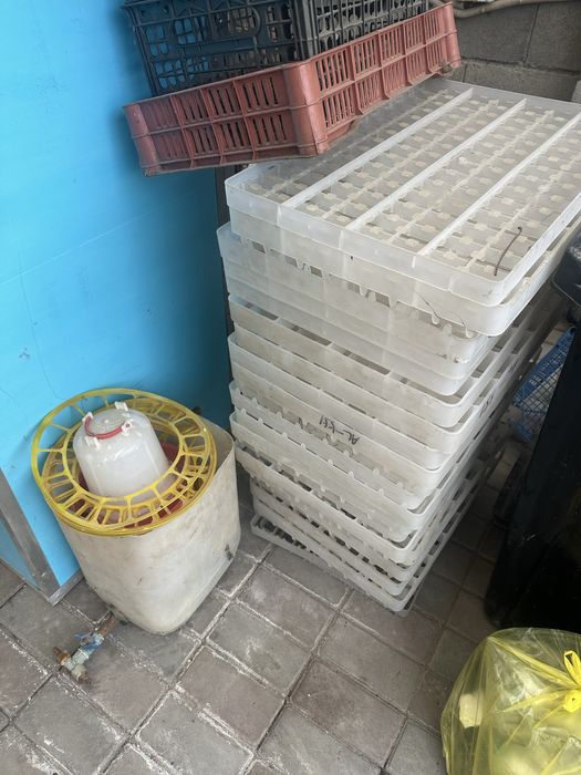 Продаётся инкубатор вместимостью 1056 яиц