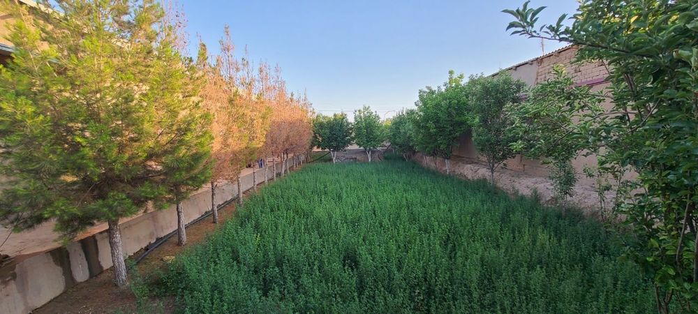 Mashʼal mahallasida joylashgan 12 sotix hovli sotiladi.