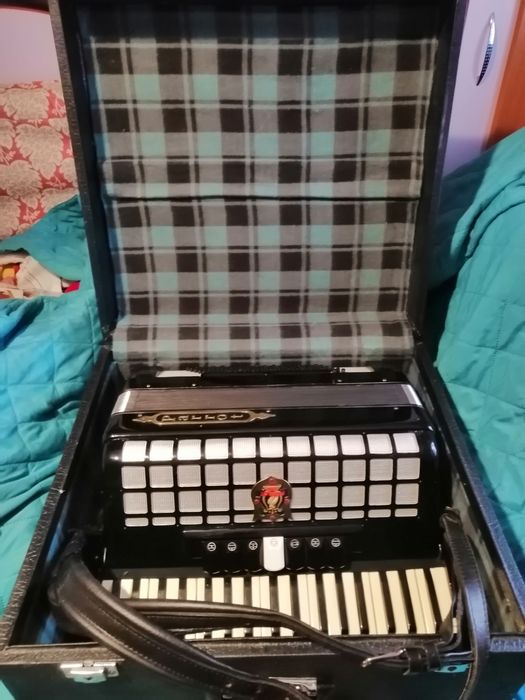 Acordeon parot, nu este nou e super bun