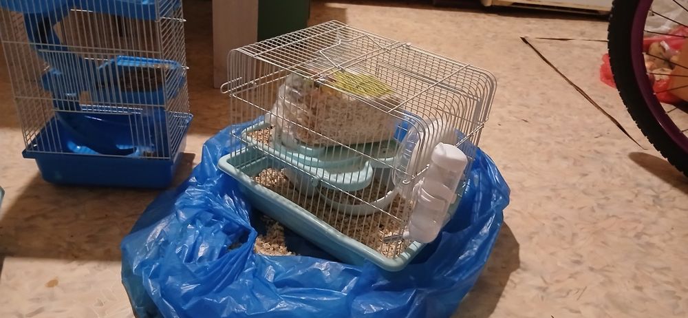 Продаю домик для хомяк