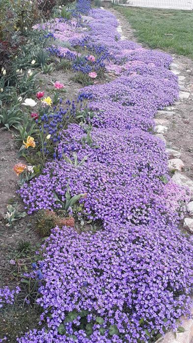 Semințe covor decorativ alb