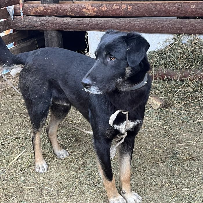 Осы тобет сатылады