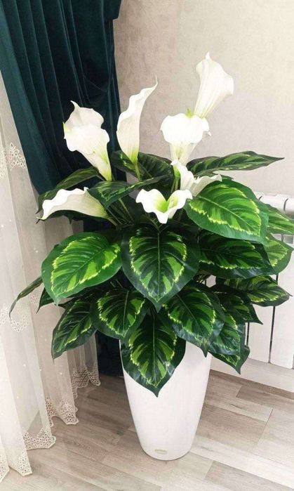 Sunʼiy yasalgan  (buket va manzarali gullar) arzon narxlarda