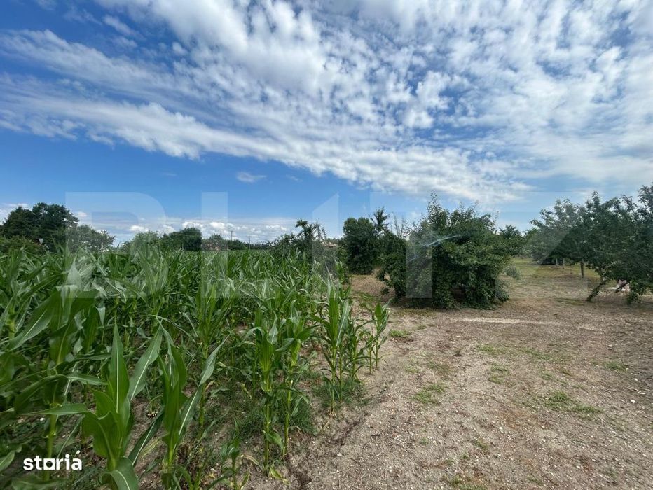Teren | Crangurile De Jos | 6796 Mp | Intravilan |