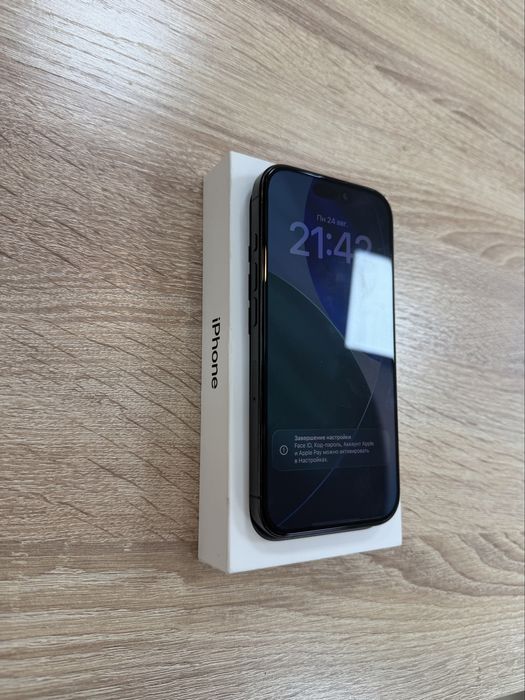 iphone 16 Pro 256