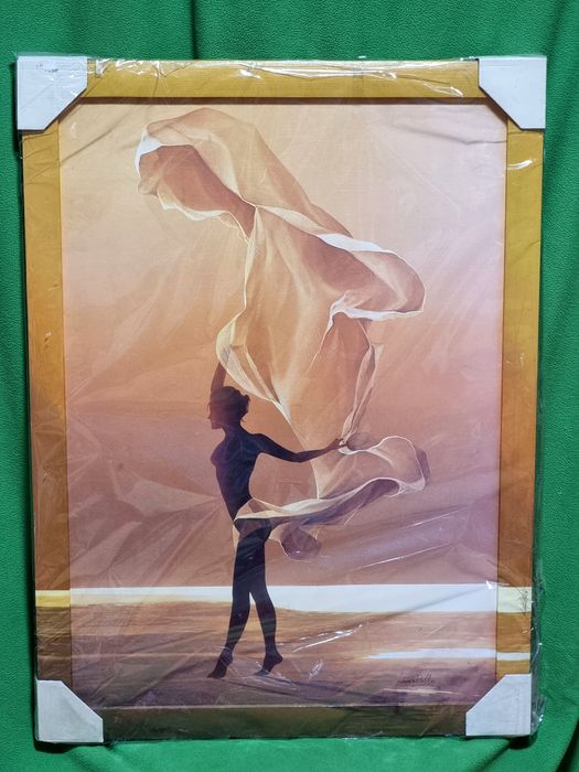 Tablou artistic 57*77