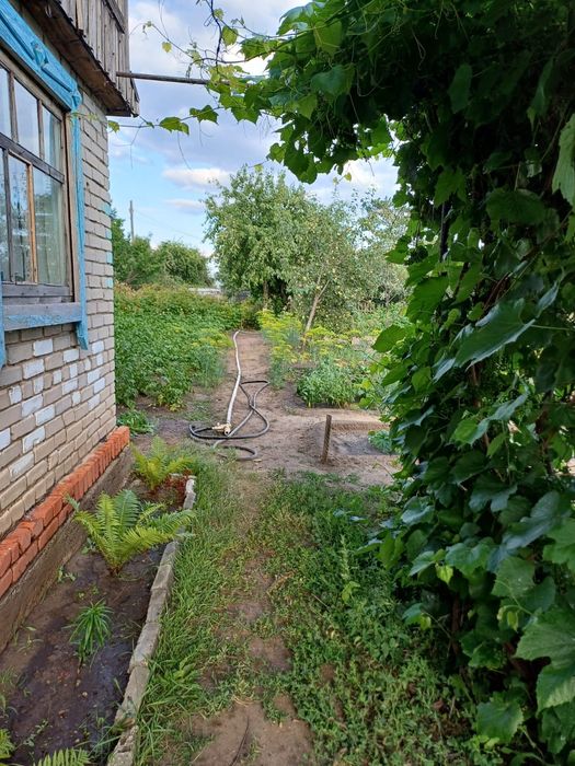 Продам дачу 4 сотки