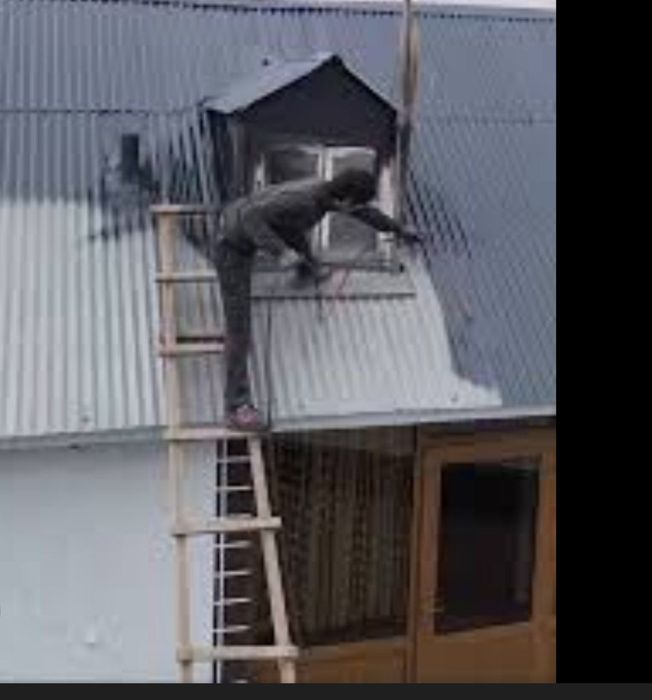 Kraska hizmati kraska sepamiz