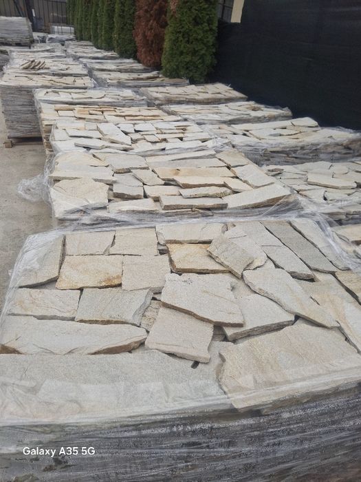 Vând plante ornamentale la preț mic