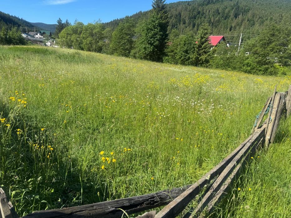 Teren intravilan com BRODINA, 30 de ari la dj 176 pret 1500€ pe ar total 45.000€ pretabil pentru cabana / casa etc pret usor negociabil . Acte la zi !