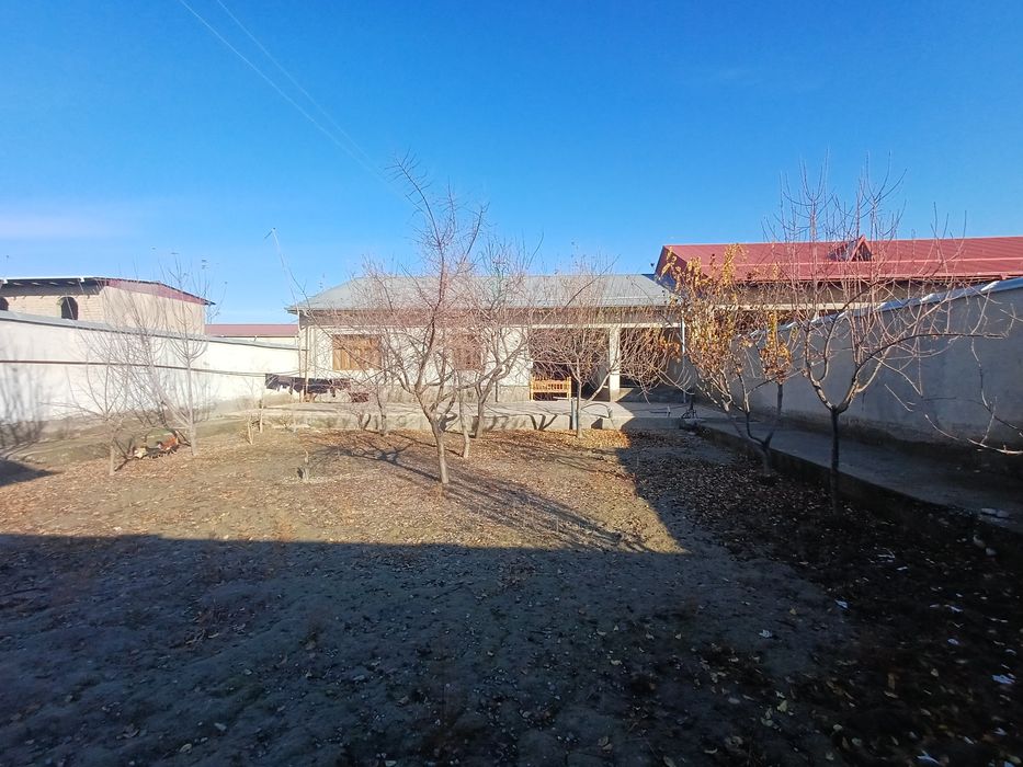 Katta yerli, qulay hovli — zudlik bilan sotiladi