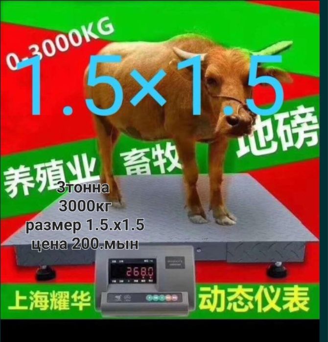 Весы актау новый арзан