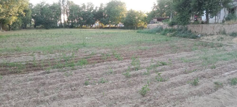 Er uchastka sotiladi boʻlib ham sotiladi