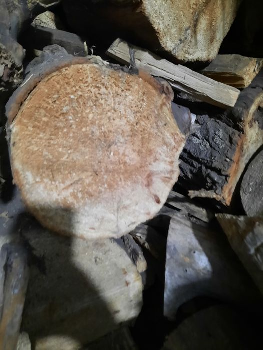 Дрова сухие тополь