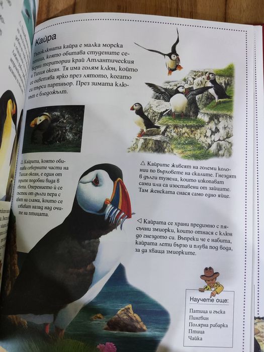 Енциклопедия на животните