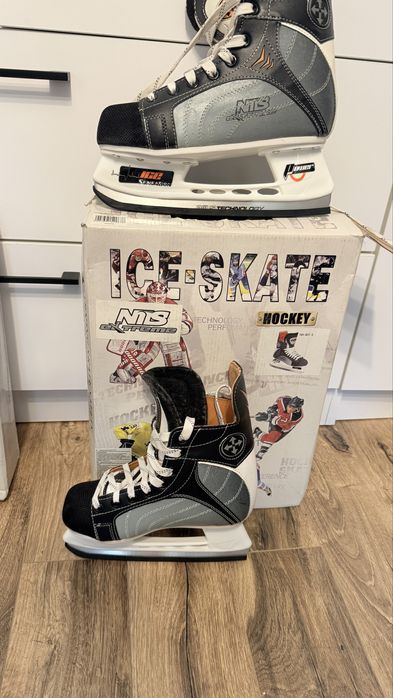 Patine gheata  hochei